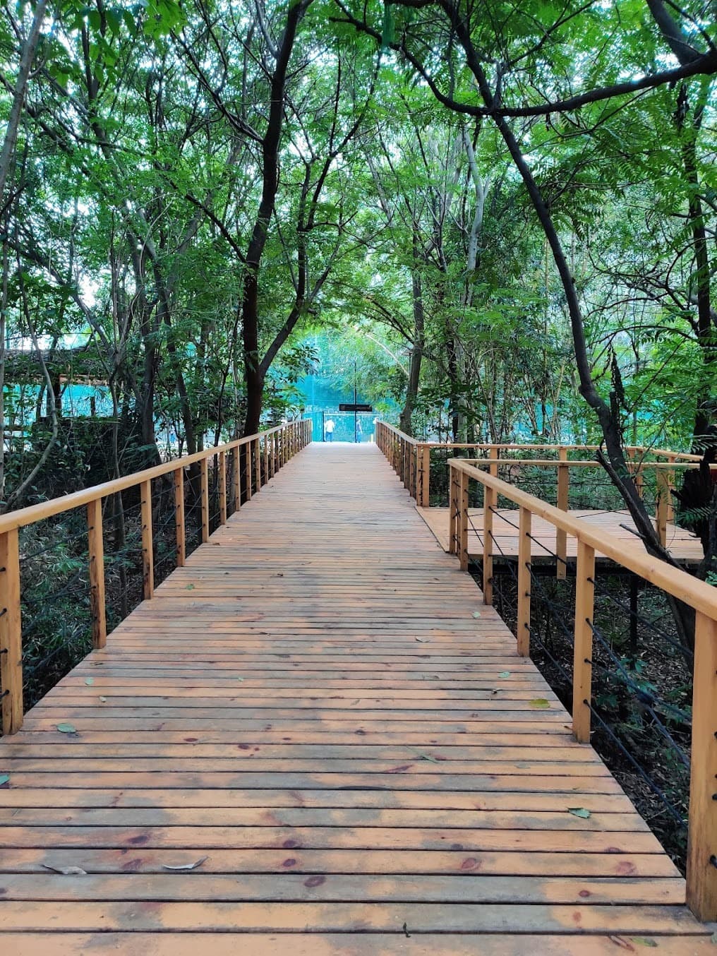 Area 83 Adventure Resort