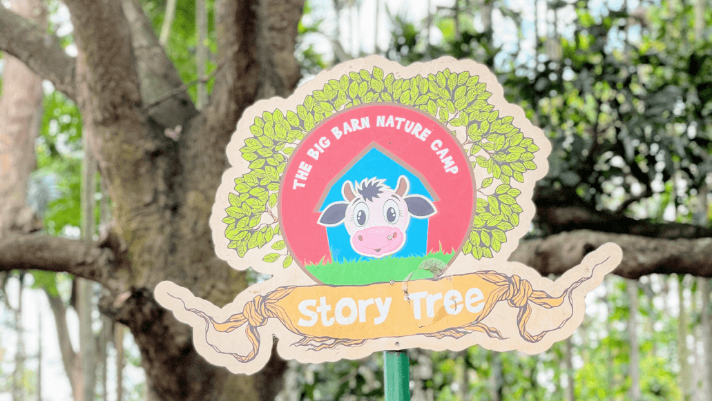 The Big Barn Nature Camp